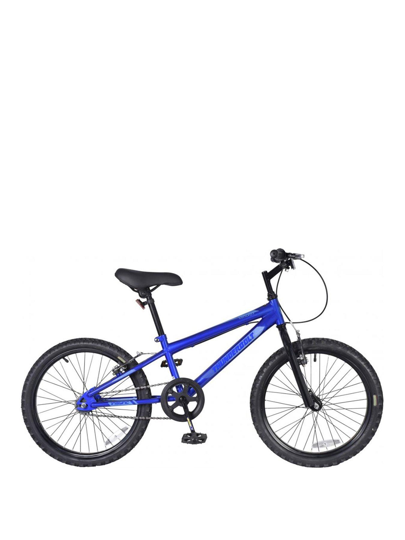 20 inch blue bike