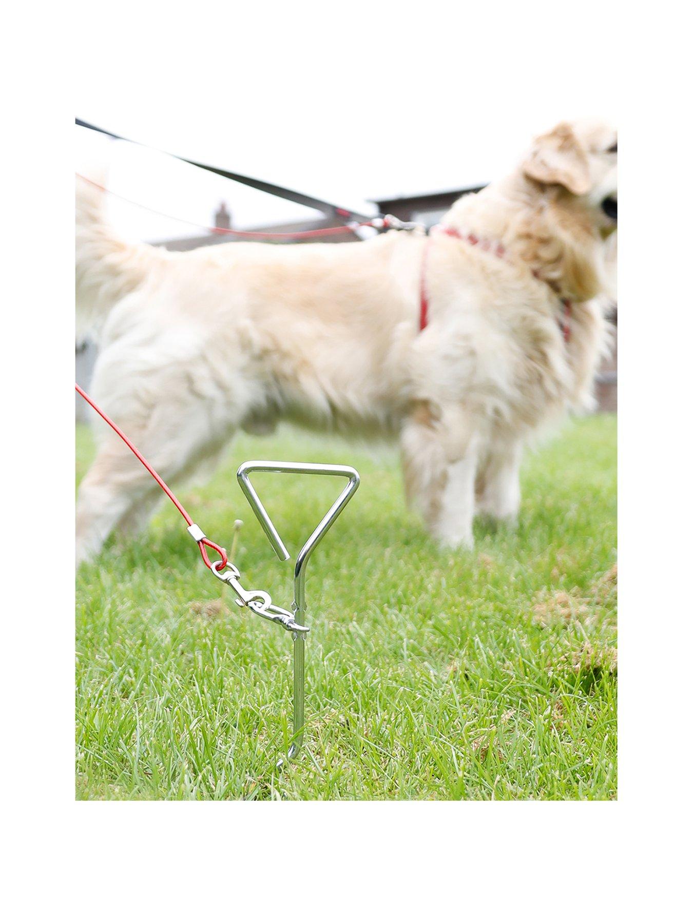 Dog tether shop for camping