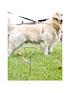  image of streetwize-accessories-caravancamping-dog-tether-w-4m-lead