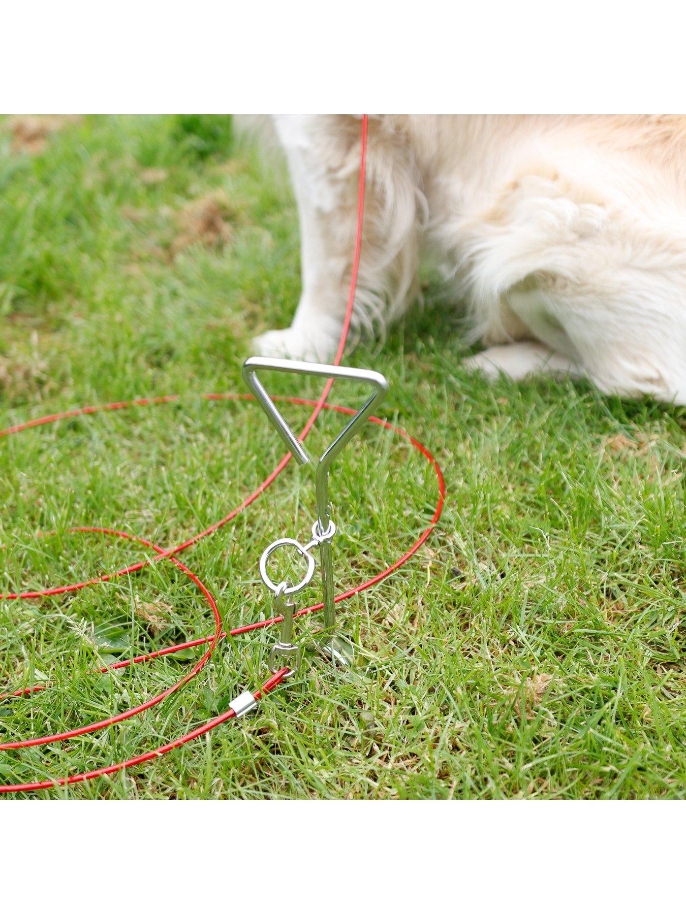 Best dog tether for camping hotsell