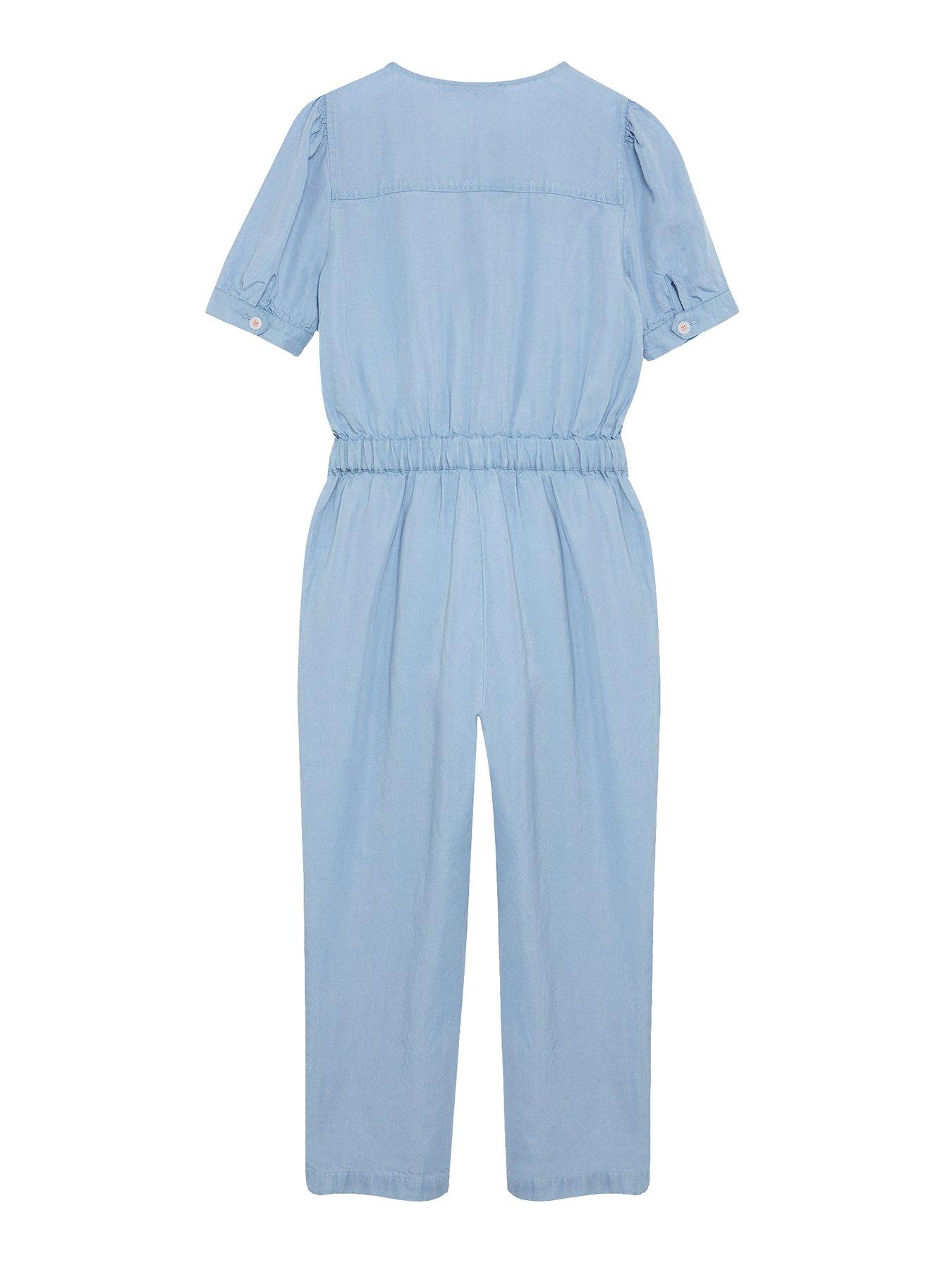 mint velvet chambray dress