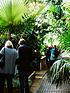  image of virgin-experience-days-visit-to-kew-gardens-with-prosecco-afternoon-tea-at-the-botanical-for-two-london