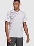  image of adidas-sport-graphic-bos-t-shirt-white