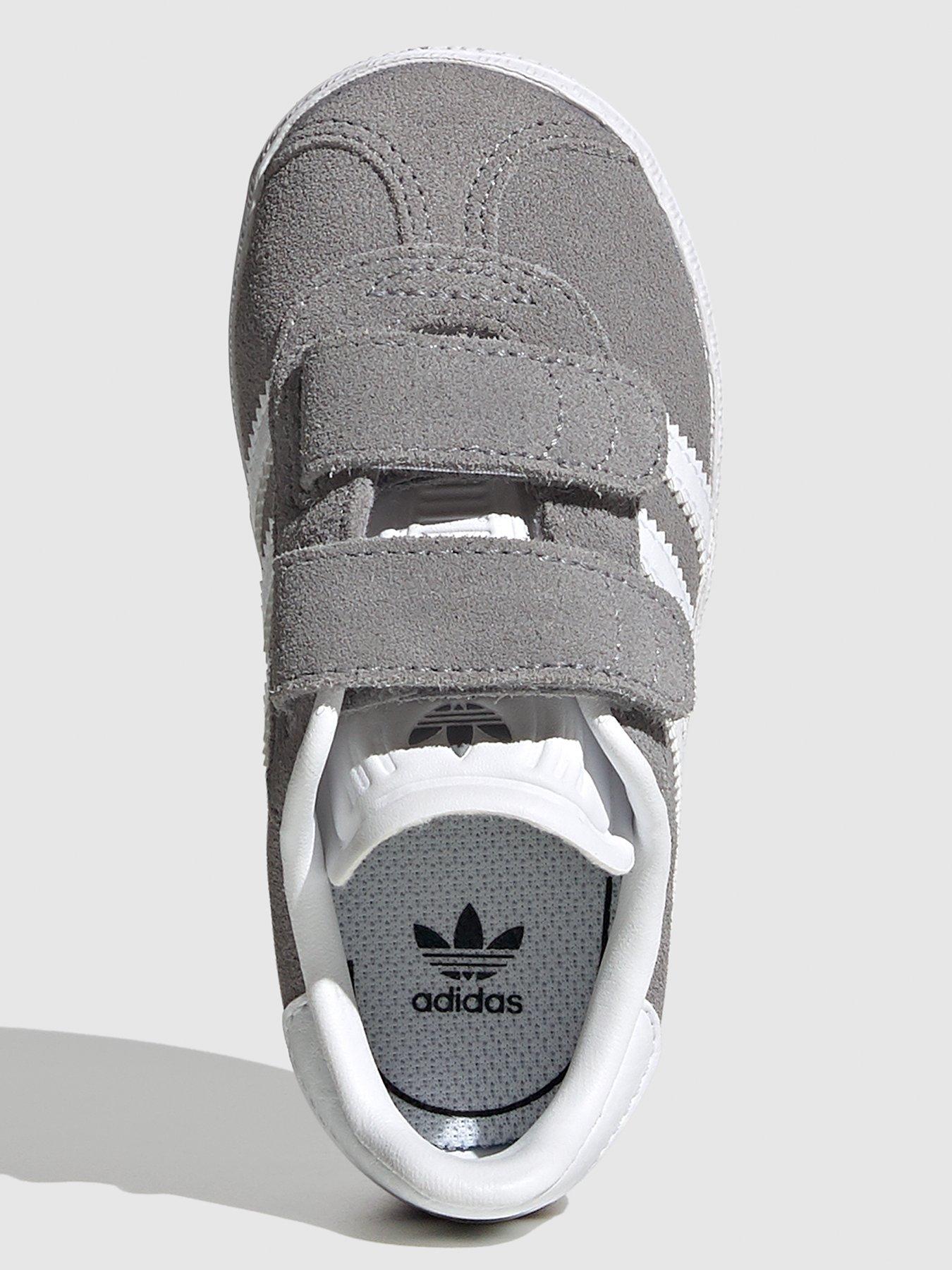 infant grey gazelles