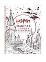 Image thumbnail 1 of 2 of Harry Potter Magical Places and Characters Colouring Book