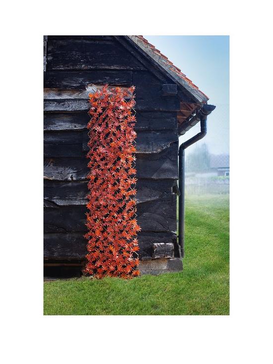 front image of smart-garden-red-acer-leaf-180-x-90cm-trellis