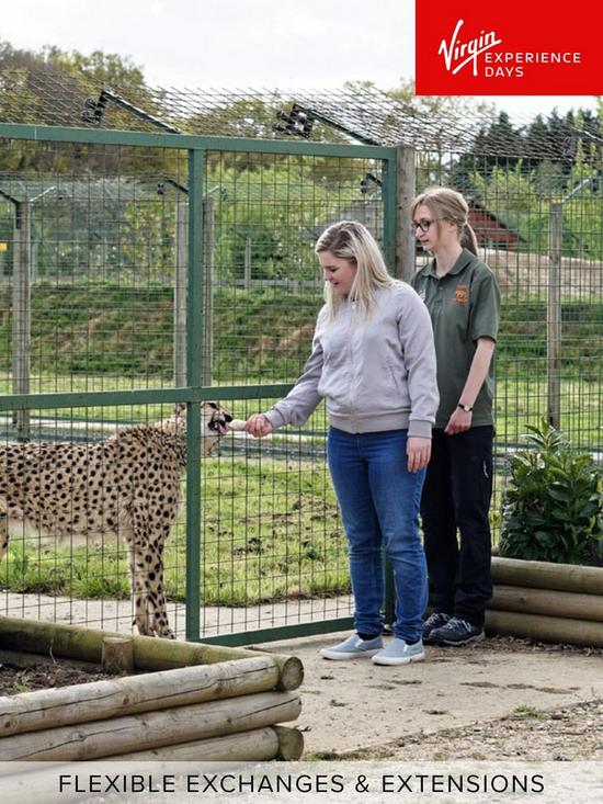front image of virgin-experience-days-luxury-lodge-stay-with-dining-and-hand-feeding-experience-for-two-at-the-big-cat-sanctuary-kent