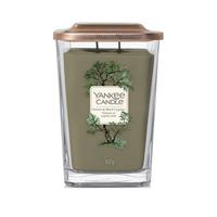 yankee vetiver
