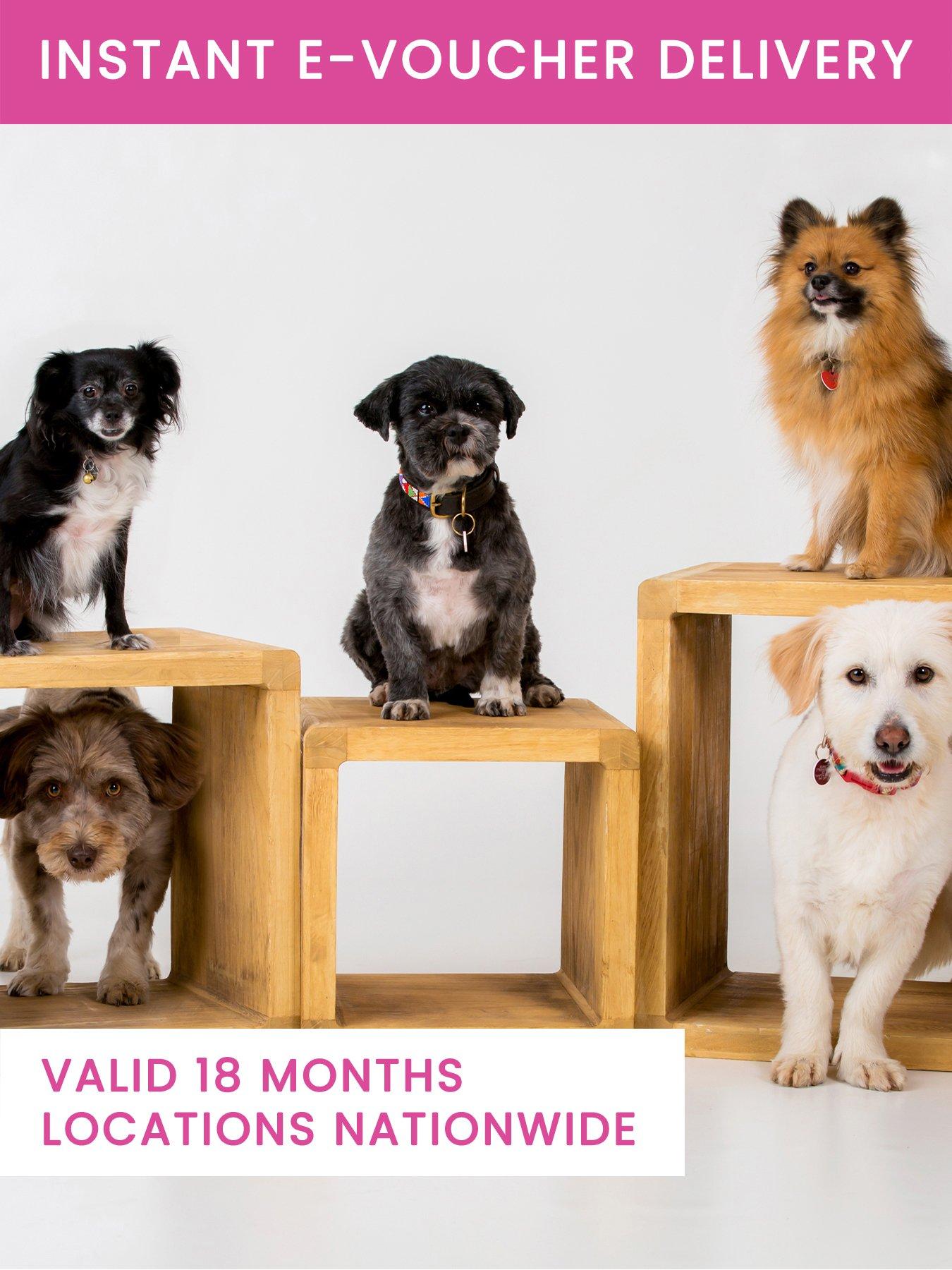 Image 1 of 4 of Activity Superstore Pet Photoshoot