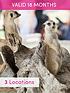 activity-superstore-meerkat-encounter-for-twooutfit
