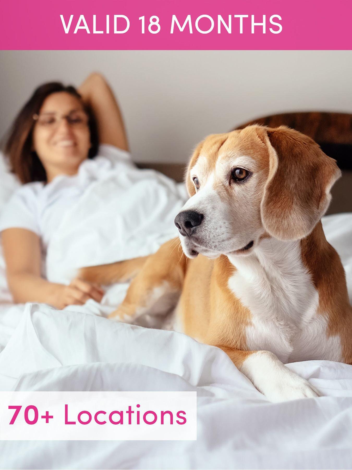 Activity Superstore Dog Friendly Hotel Stay very