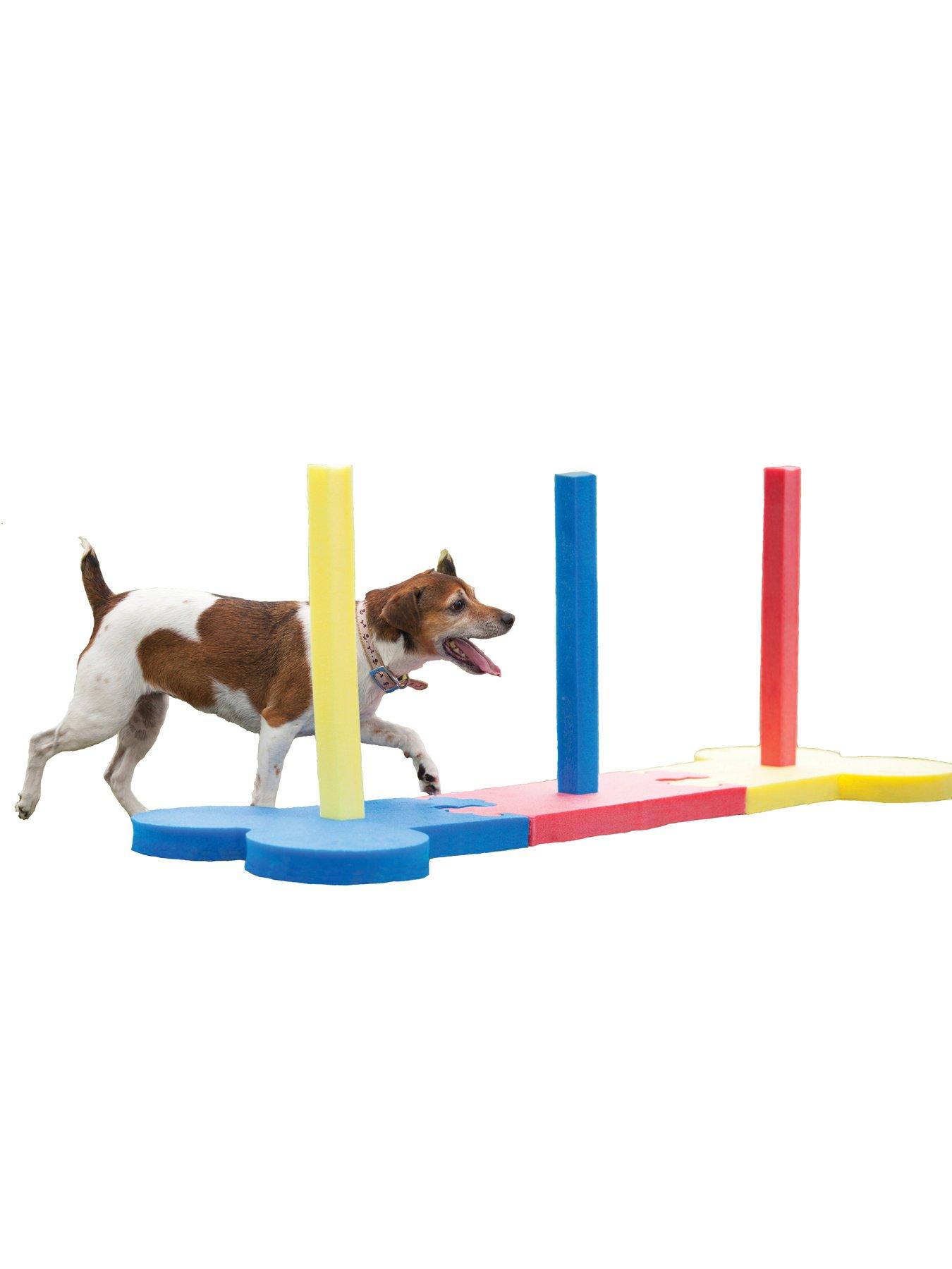 Rosewood 2024 agility flyball