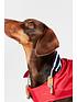  image of joules-red-dog-raincoat