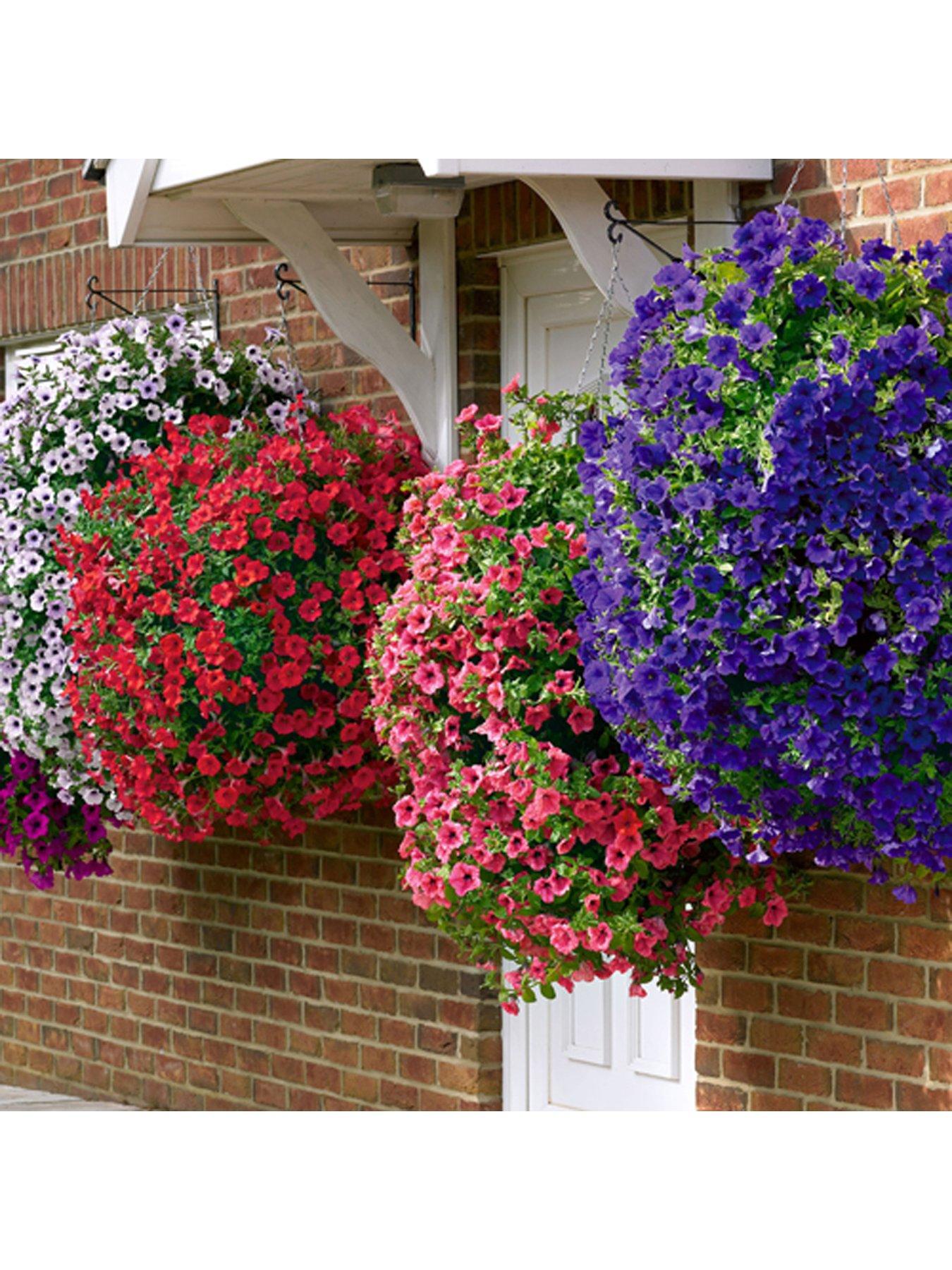 Image 4 of 5 of You Garden Pair of 15" Large Easy Fill Hanging Baskets
