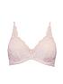  image of charnos-rosalind-full-cup-underwired-bra-pink