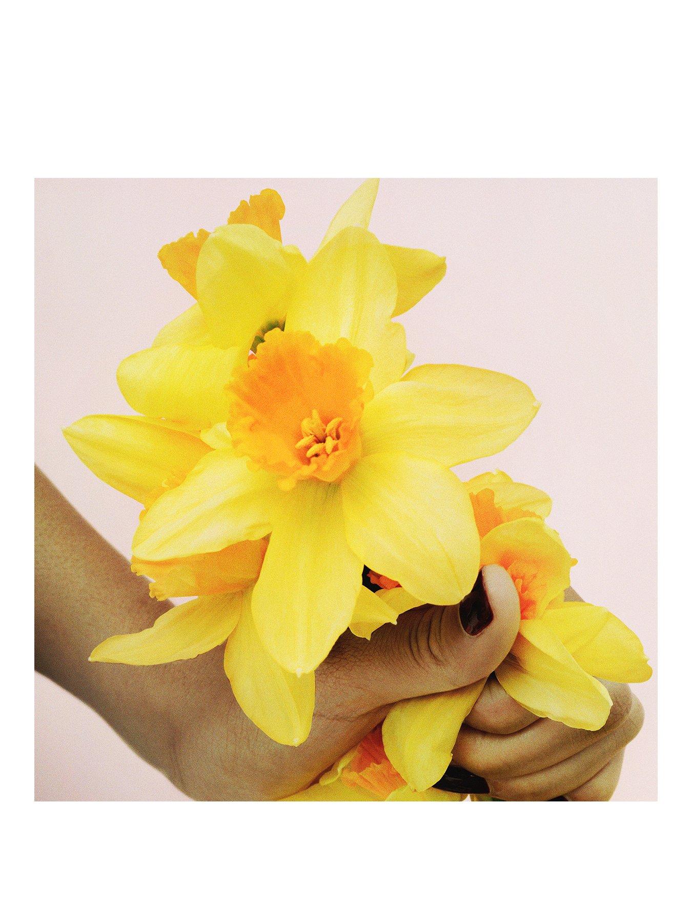 perfect marc jacobs lotion