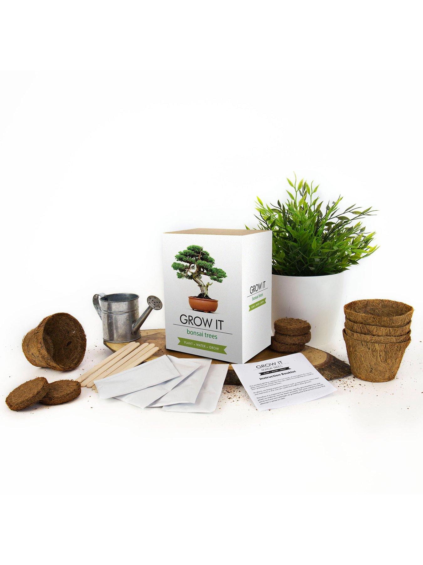 Gift Republic Bonsai Tree Plant Grow It Very.co.uk