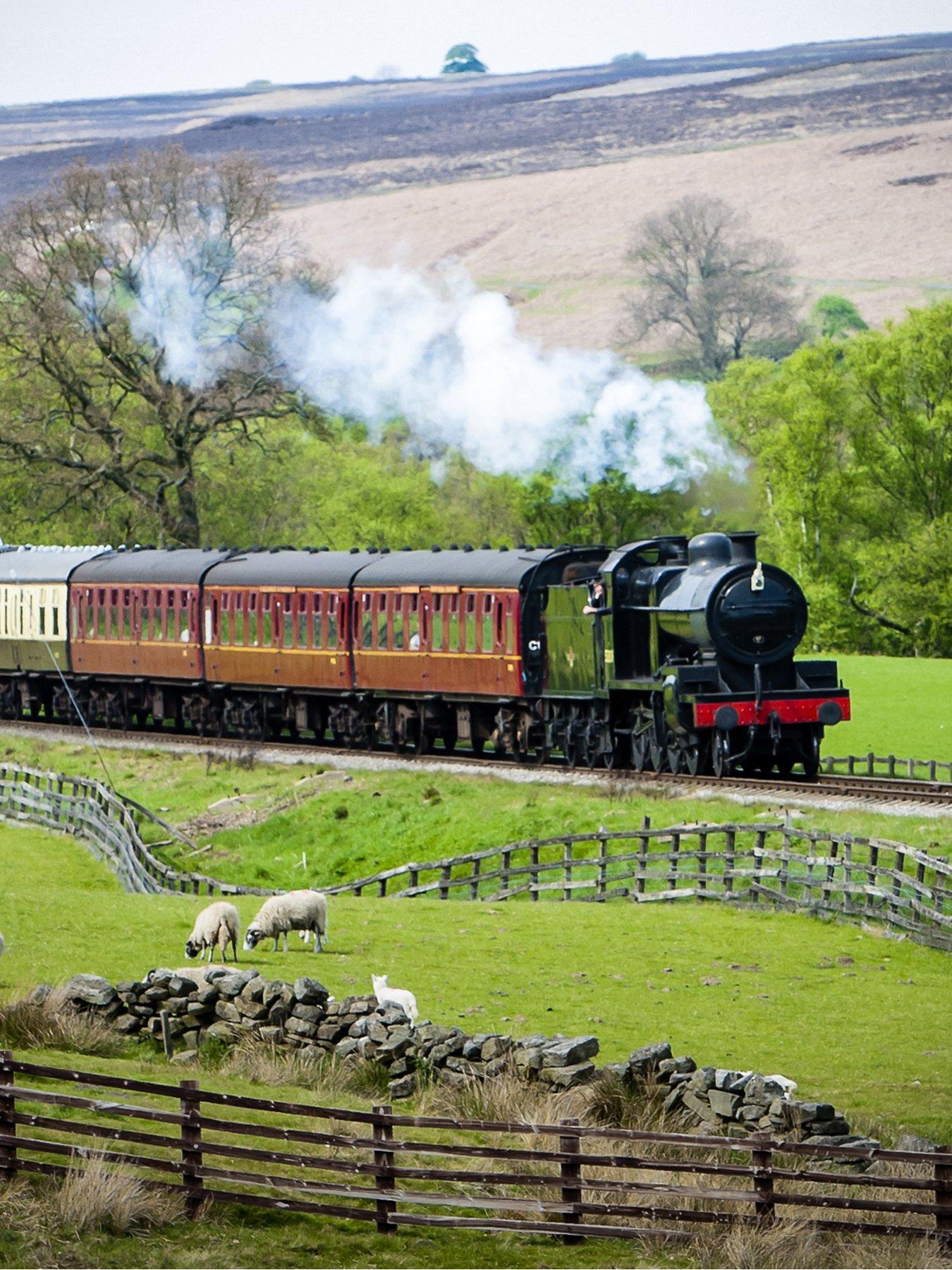 Image 2 of 4 of Activity Superstore Steam Train and Afternoon Tea