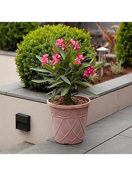 Product photograph of Set Of 3 Aged Terracotta Tuscan Planters - 10 from very.co.uk