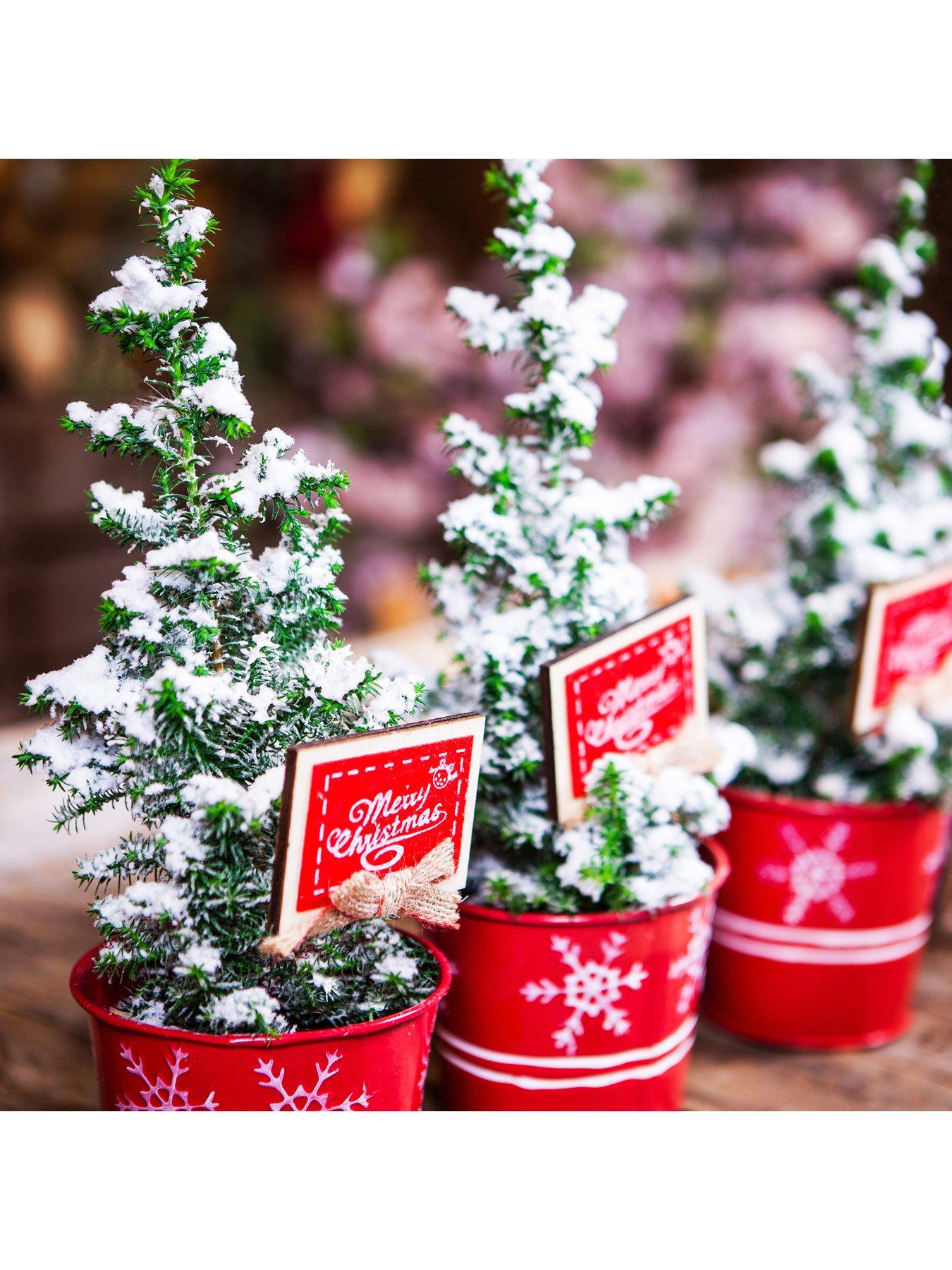 Set of 3 Tabletop Snowy Christmas Trees 25cm Tall very.co.uk