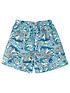 nike-boys-shark-party-lap-4-inch-volley-shorts-multiback