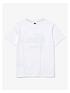 lacoste-boys-croc-large-logo-t-shirt-whiteback