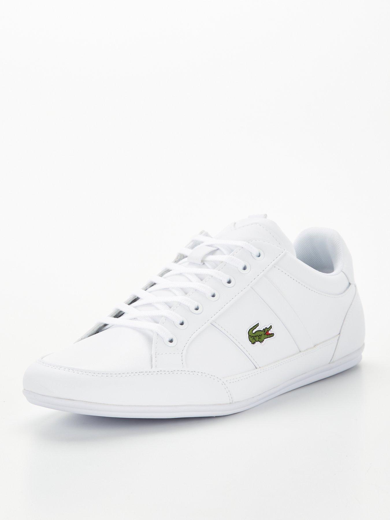 lacoste trainers size 12