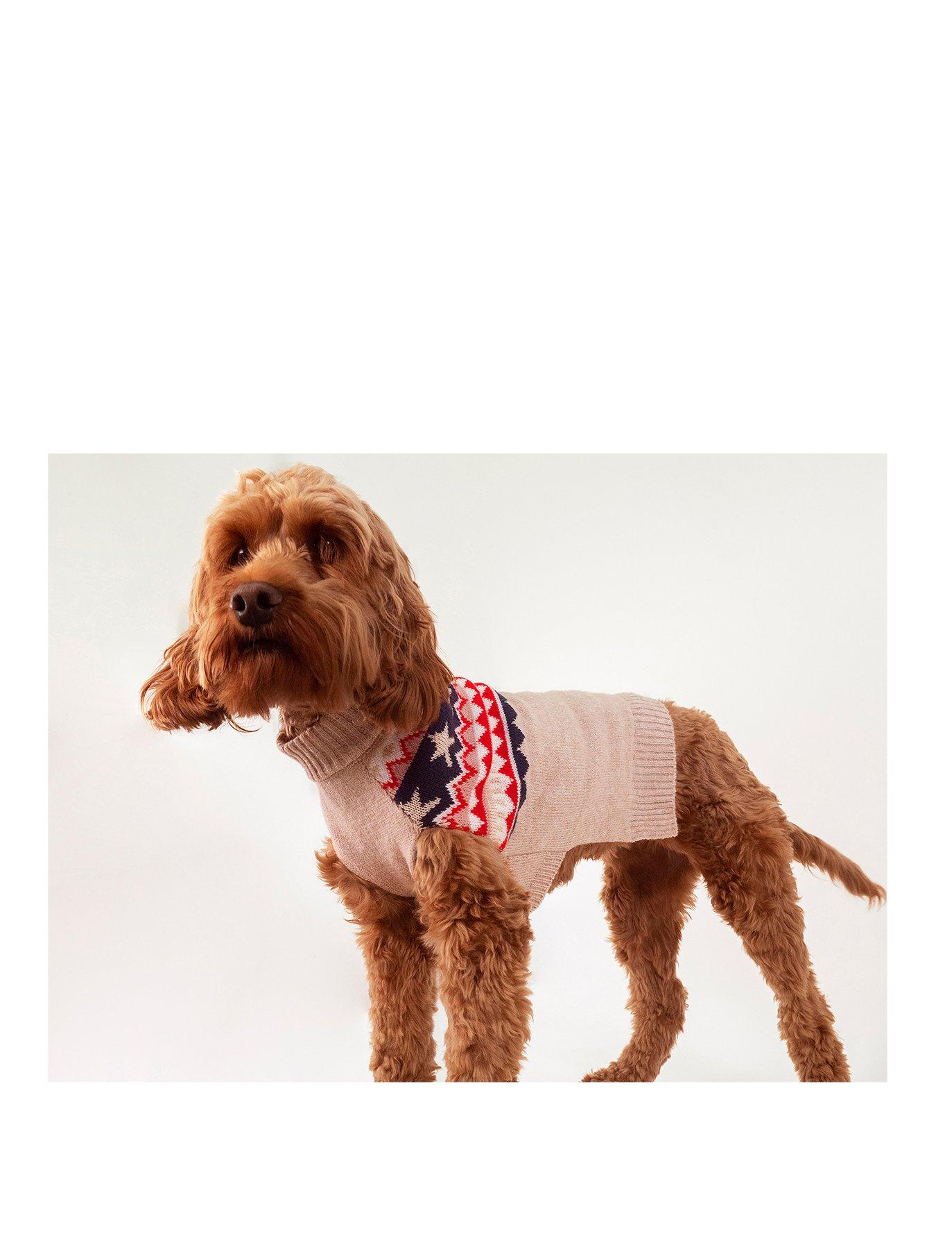 dog tracksuits uk