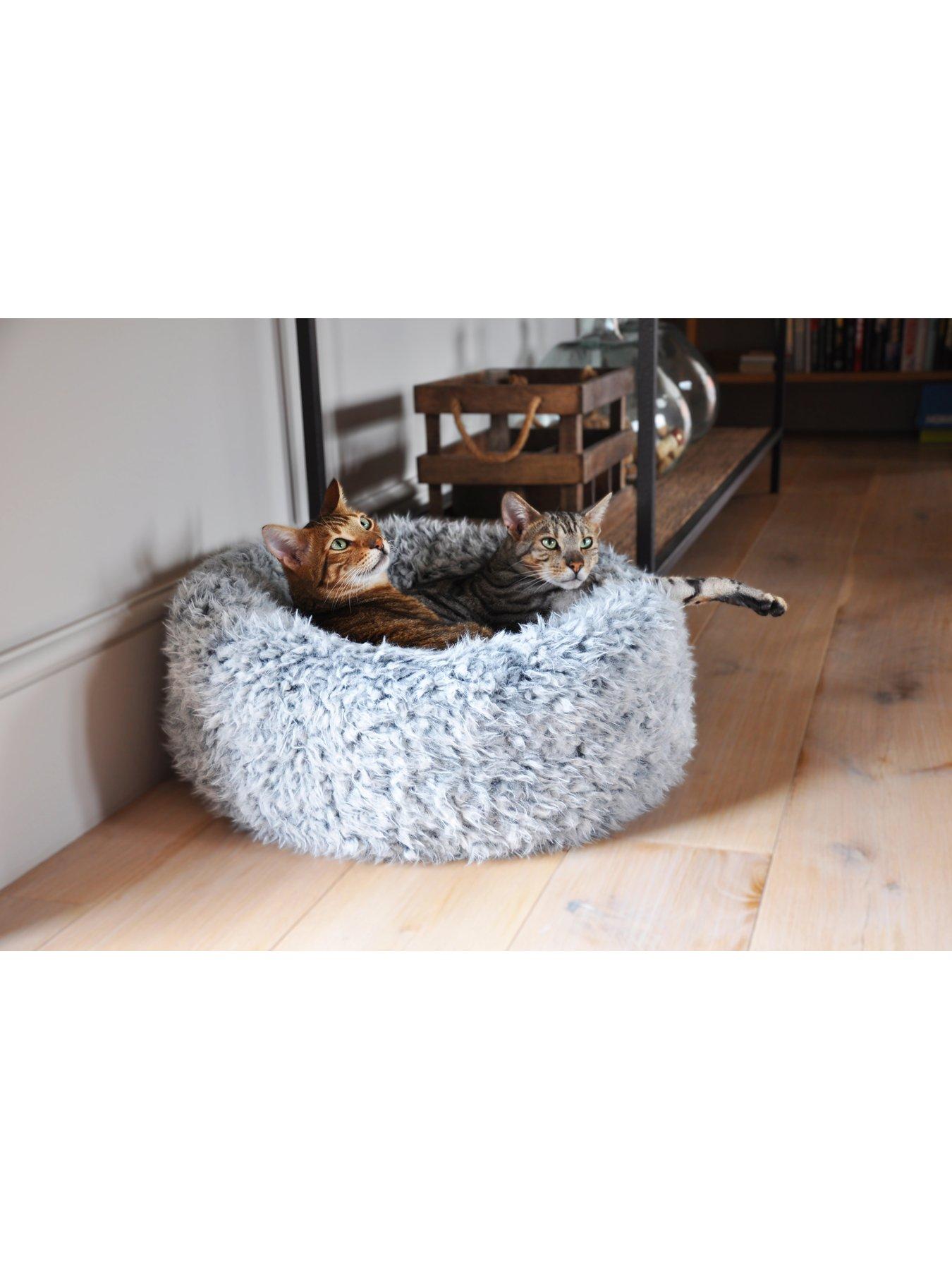 Rosewood teddy bear cat bed sales