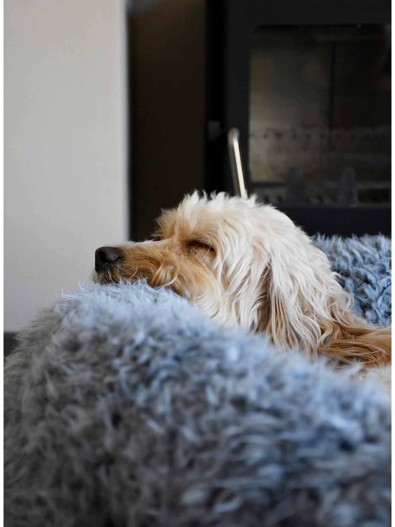 Dog shop fluffing bed