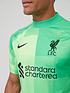 nike-nike-liverpool-fc-mens-2122-home-goalkeeper-short-sleeved-shirtoutfit