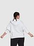 adidas-adidas-future-icons-3-bar-hoodie-plus-sizestillFront