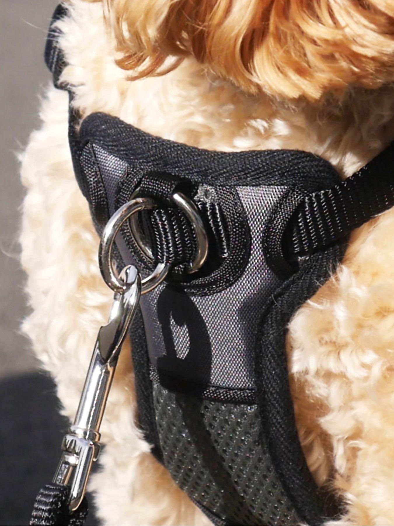 Front connection dog outlet harness