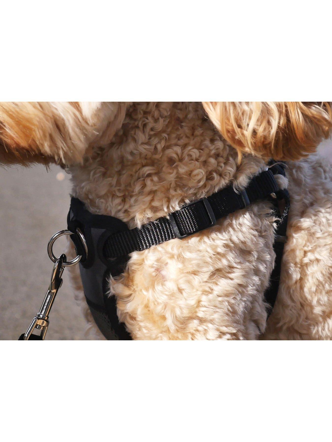 Rosewood 2025 dog harness