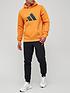 adidas-future-icon-hoodie-orangeback