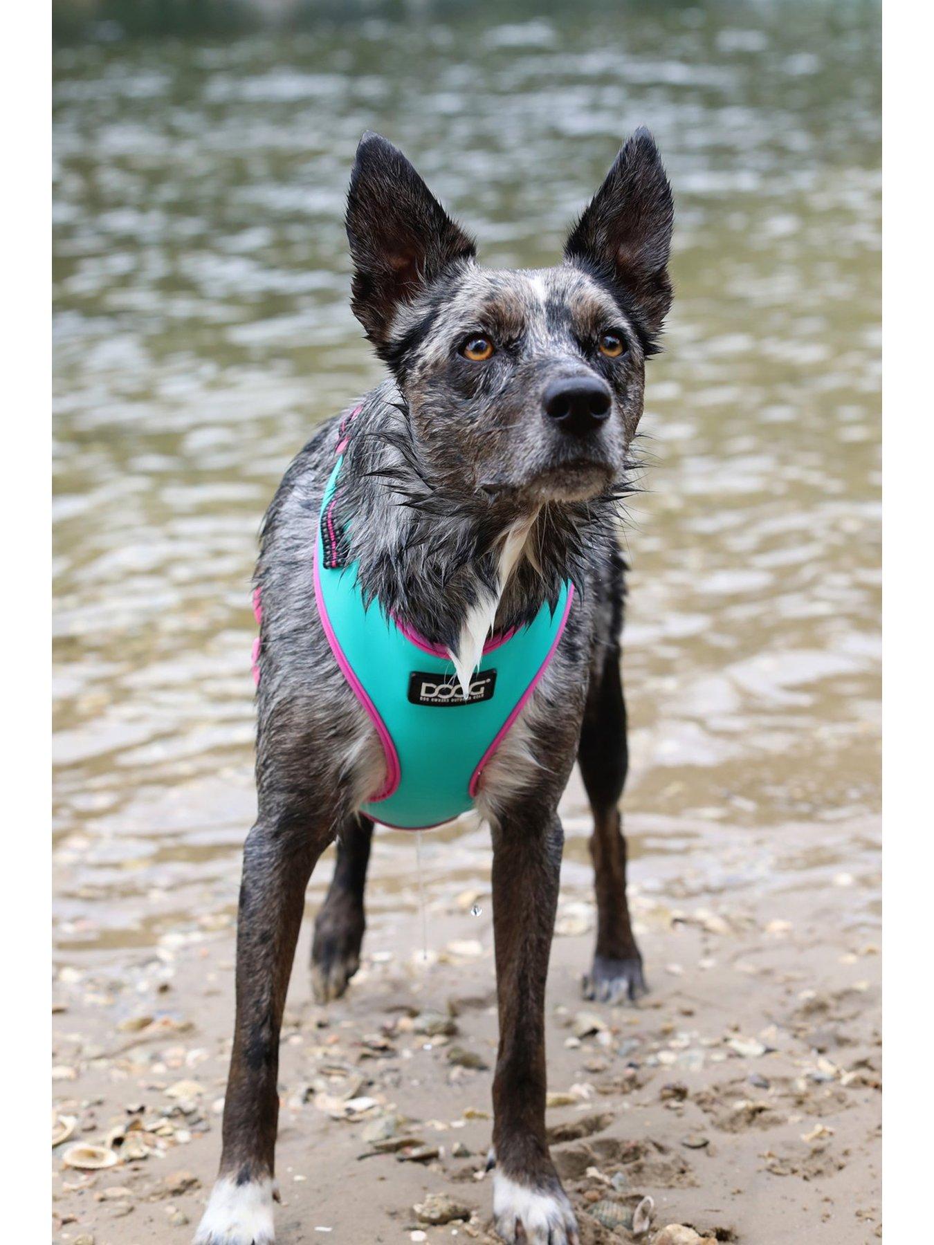 Image 2 of 6 of Doog neon harness - Rin Tin Tin