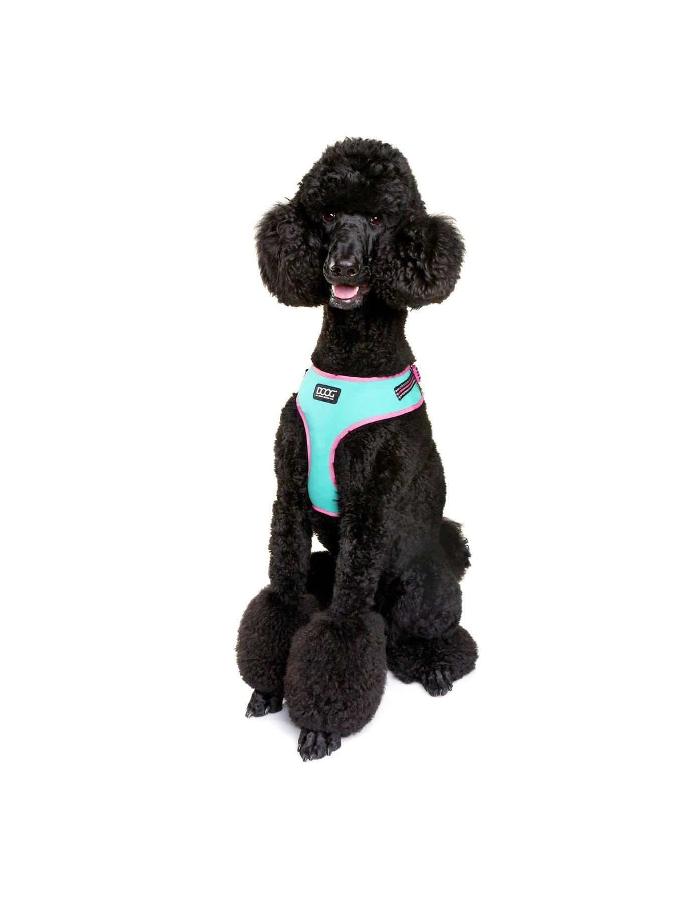 Image 5 of 6 of Doog neon harness - Rin Tin Tin
