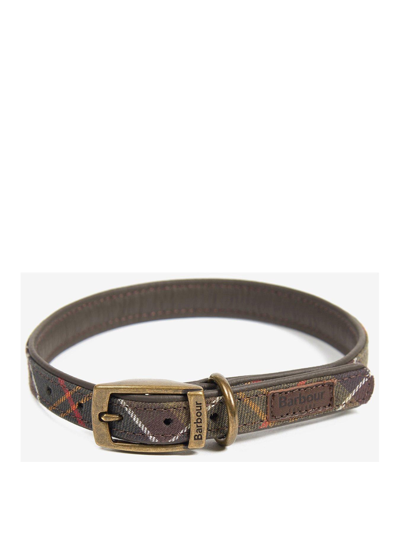 coach dog harness