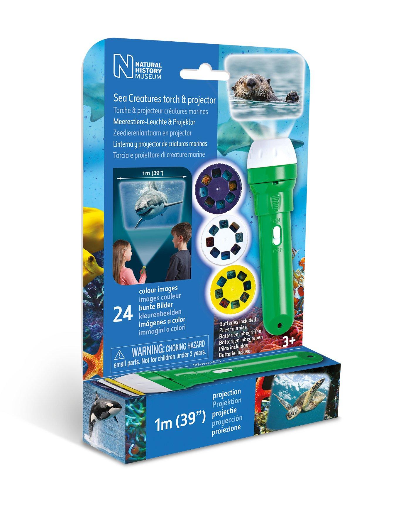 Image 5 of 7 of Natural History Museum NHM Dinosaur and Sea Creatures Torches and Projectors (2 pack)