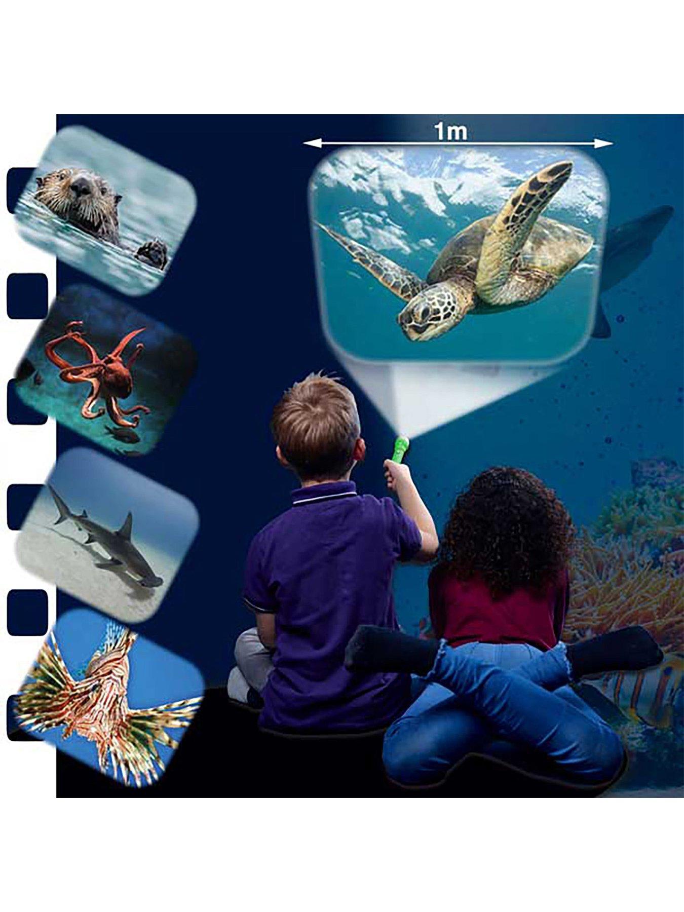 Image 6 of 7 of Natural History Museum NHM Dinosaur and Sea Creatures Torches and Projectors (2 pack)