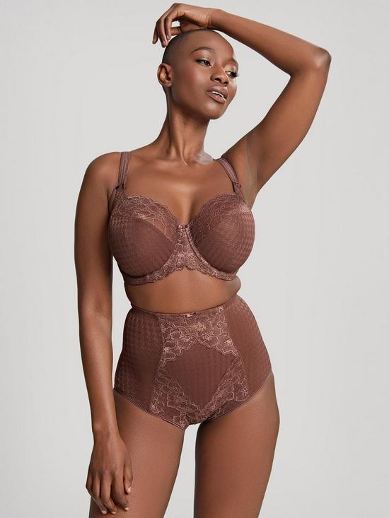 front image of panache-envy-full-cup-bra-chestnut