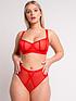 curvy-kate-scantilly-sheer-chic-brafront
