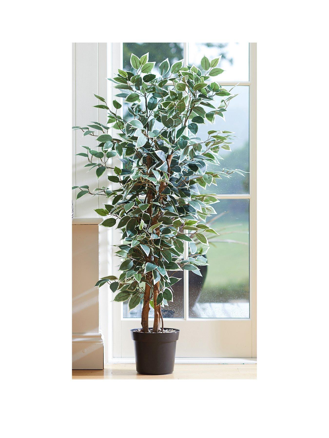 Product photograph of Faux D Cor By Smart Garden Products Weeping Fig Artificial Plant In Pot from very.co.uk