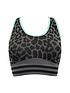  image of pour-moi-energy-seamless-leopard-crop-top-multi