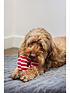 rosewood-festive-multi-texture-doggy-toy-doughnuts-3-packoutfit
