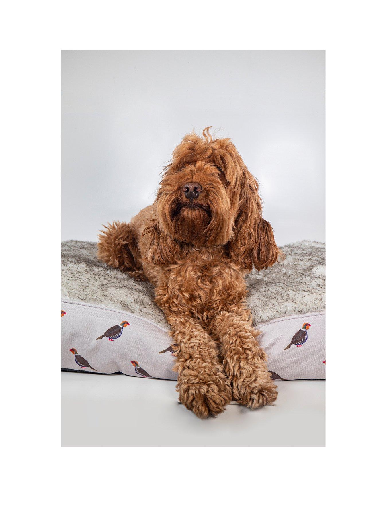 Product photograph of Rosewood Phesant Print Pet Mattress from very.co.uk