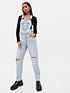 new-look-relaxed-dungaree-with-knee-rips-bleach-washfront
