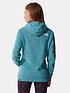  image of the-north-face-standard-hoodie