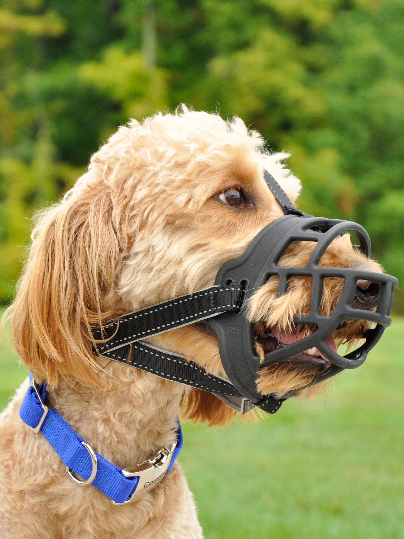 Dog muzzle store size 5