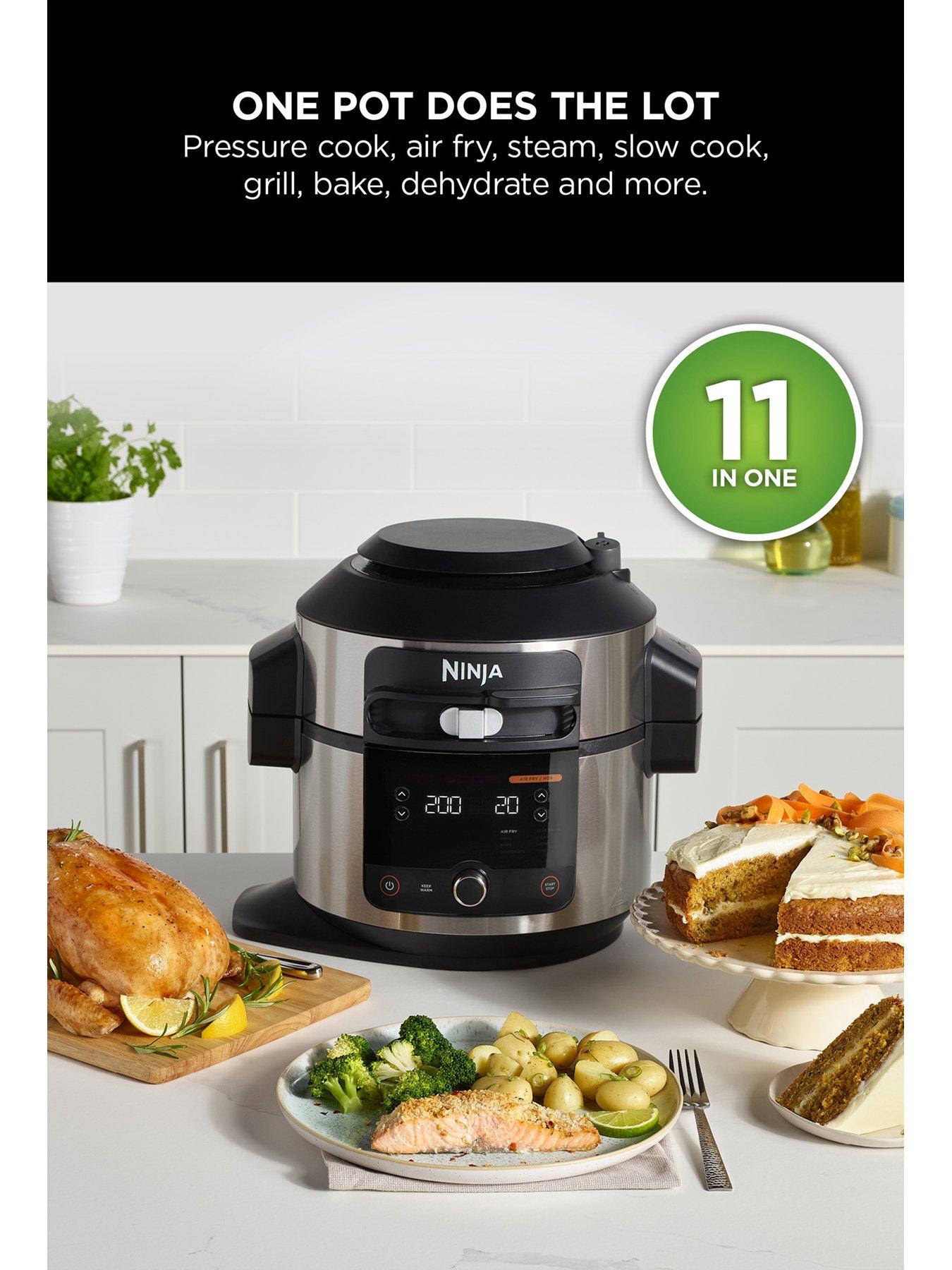 Ninja foodi air fryer 11 in 1 hot sale